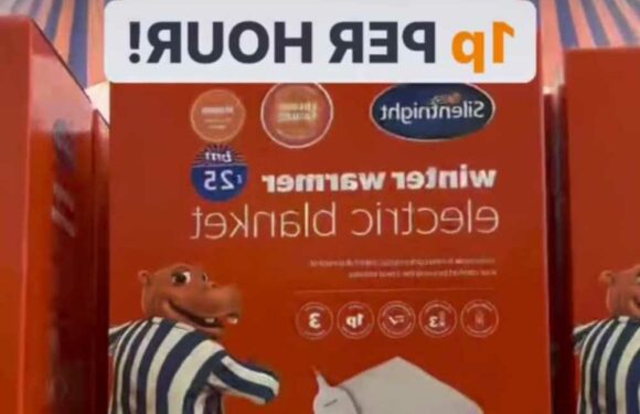 B&M shoppers are raving about their ‘winter warmer’ electric blanket which keeps you toasty for just 1p per hour | The Sun