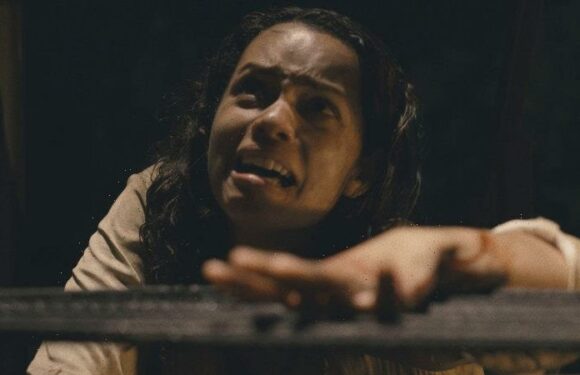 Be alert and alarmed: Horror hit Barbarian left me feeling queasy