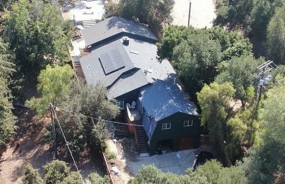 Black Lives Matter founder Patrisse Cullors instals swanky new garden