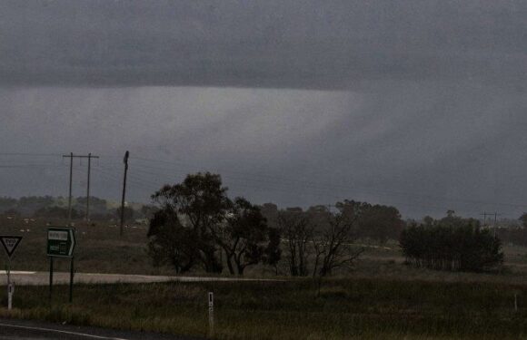 Boy in hospital after being hit by tree branch as strong winds lash NSW coast