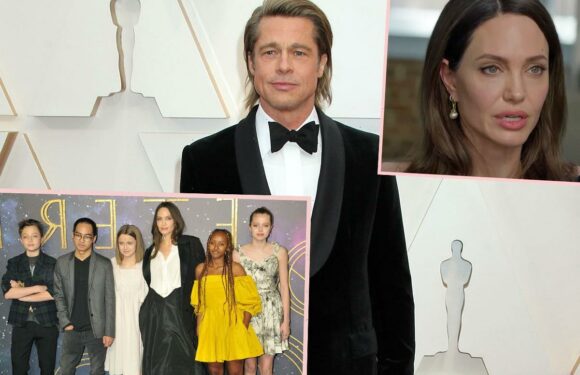 Brad Pitt Sources Slam Angelina Jolie's 'Untrue' Child Abuse Allegations!