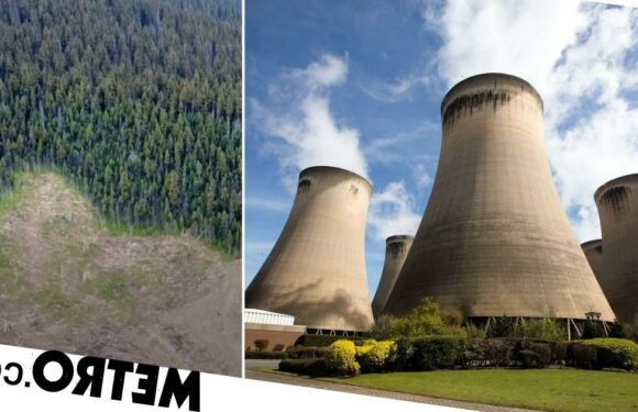 British power station company hacks down Canadian forests, probe alleges