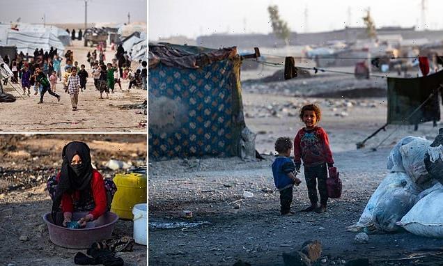 British woman and her child are repatriated from Syrian camp