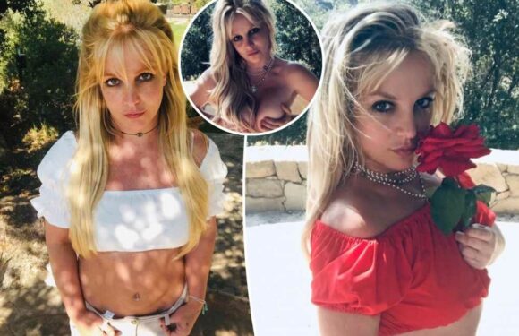 Britney Spears poses topless for Instagram return
