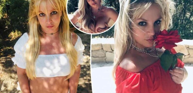 Britney Spears poses topless for Instagram return