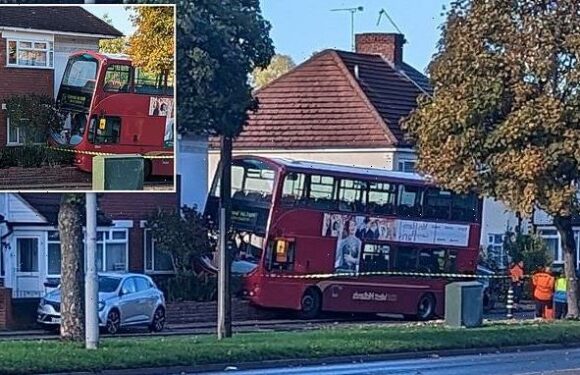 Bus driver dies after falling ill and crashing into a garden