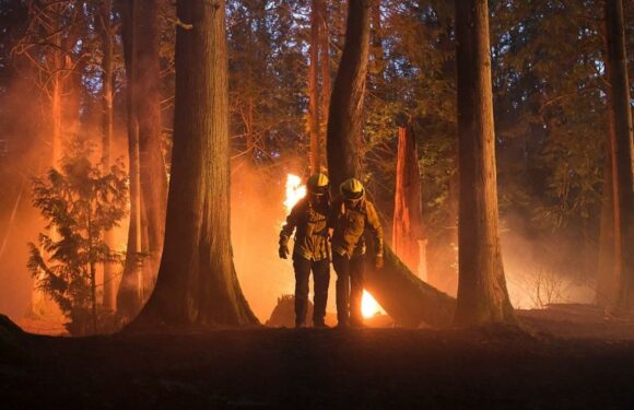 CBS’ ‘Fire Country’ Is The Most-Watched New Series Premiere This Fall