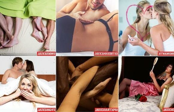 CLAUDIA CONNELL: The A-Z of the baffling world of modern sexuality