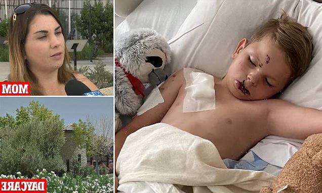 California boy, 8, mauled by labrador at unlicensed home daycare