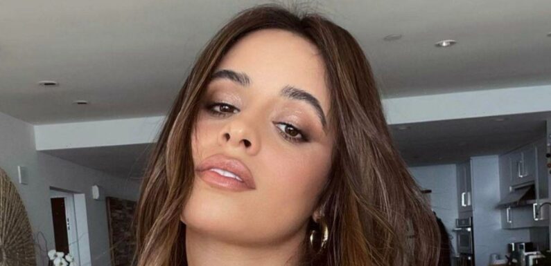 Camila Cabello perfectly models a ‘brownie batter brunette’ hair colour