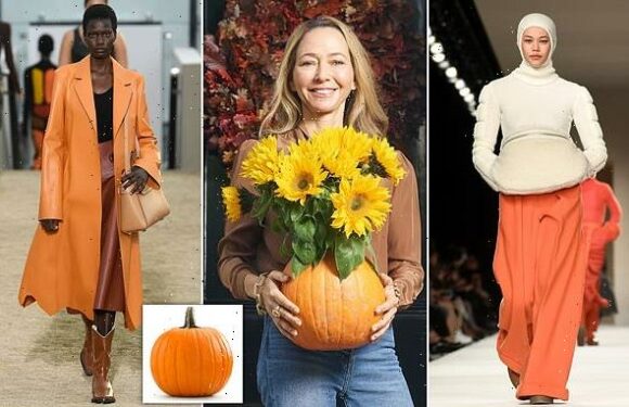 Carve out a high fashion twist this Halloween with a pumpkin vase!