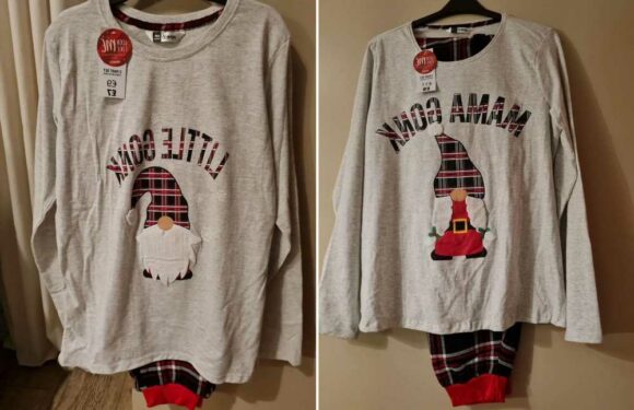 Christmas fans are going wild for matching family Gonk pyjamas from Poundland, and they start from just £7 | The Sun
