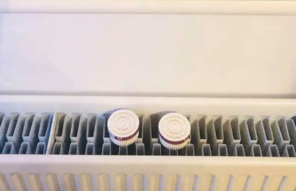 Cleaning fanatics are using radiators to make their homes smell fresh and people are calling the tip ‘unreal’ | The Sun