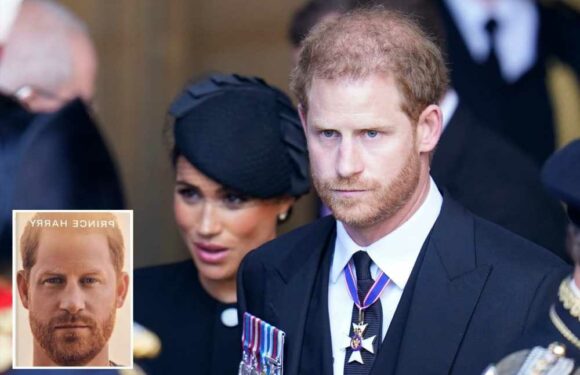 Clue in Prince Harry’s memoir that exposes his ‘deep shame’, according to expert who reveals why book is so 'nasty' | The Sun