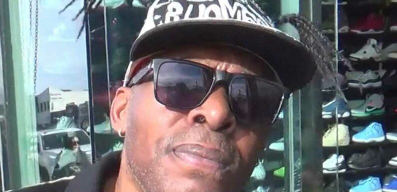 Coolio's Website Crashes After Fans Flood The Merch Store