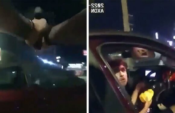 Cop Opens Fire on Teen Eating in McDonald's Parking Lot, Video