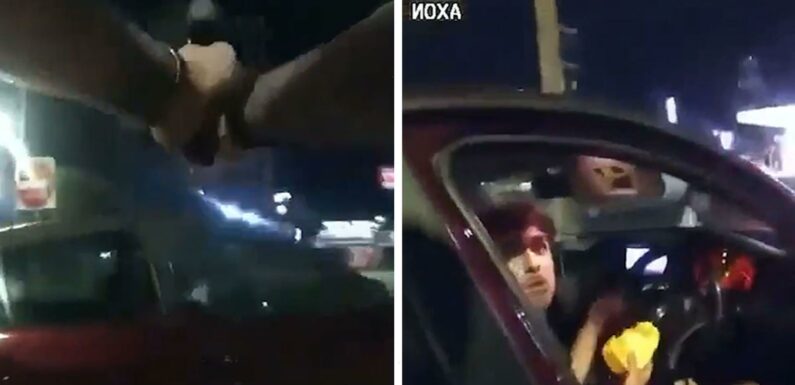 Cop Opens Fire on Teen Eating in McDonald's Parking Lot, Video