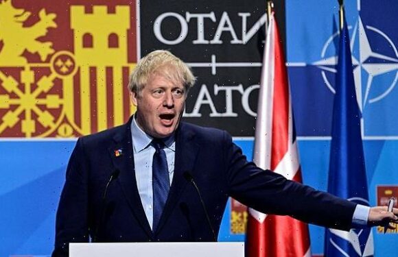 Could Boris become Nato boss? Sunak hints at foreign role for ex-PM