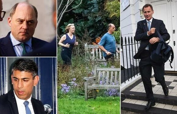 Could ministerial 'quad' replace Liz Truss?