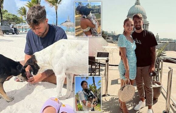 Couple who got engaged in Mauritius return home with two stray dogs