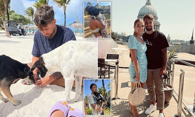 Couple who got engaged in Mauritius return home with two stray dogs