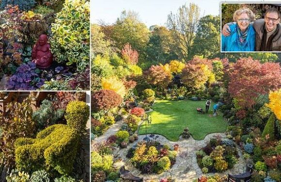 Couple's spectacular garden bursts into autumn colour with 3000 plants