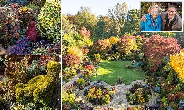 Couple's spectacular garden bursts into autumn colour with 3000 plants