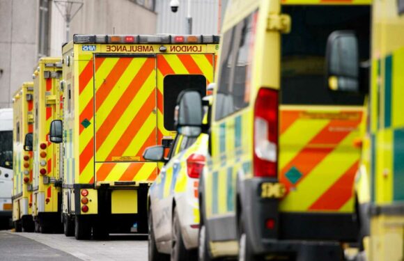 Covid hospitalisations double in two weeks as 'concerning' new wave grips NHS | The Sun