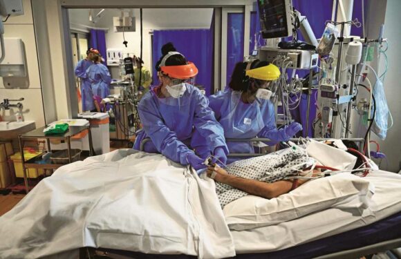 Covid that terrified us in 2020 'doesn't exist' now – it's faded to be like flu, says top expert | The Sun