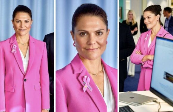 Crown Princess Victoria is ‘spectacular’ in Zara suit for just £113