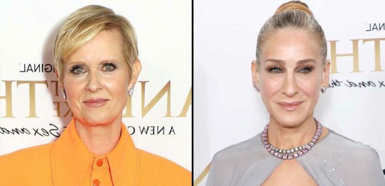 Cynthia Nixon Gives Update on Sarah Jessica Parker After Stepfather’s Death