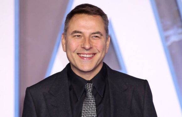 David Walliams bares all in hilarious pole dancing wardrobe malfunction