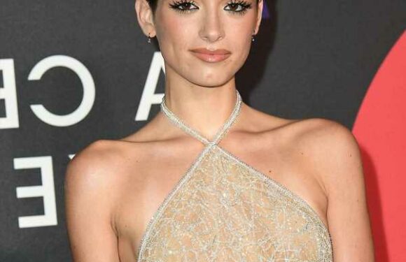 Dixie DAmelio has premenstrual dysphoric disorder I have never been so low