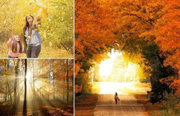Does any human art compare with the spectacle of autumn countryside?