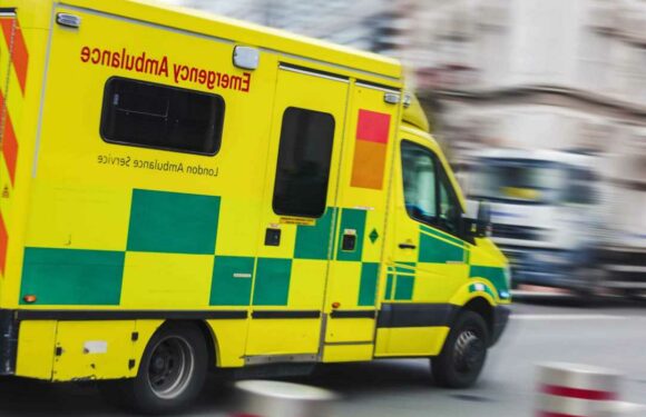 Don’t visit your grandparents if you feel ill as Covid hospital cases rise amid ‘concerning’ new wave | The Sun