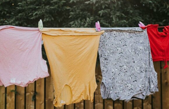 Dry your clothes at a specific time to save £104.52 a year