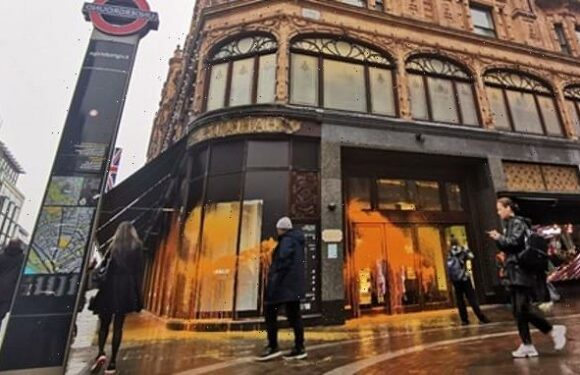 Eco-mob fling orange paint over entrance to Harrods