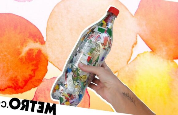 Ecobricks could be a handy way to tackle plastic pollution – how to make them