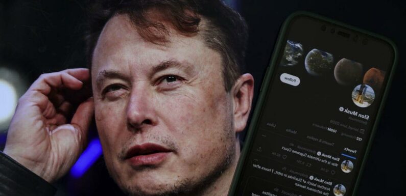 Elon Musk could lose 13 million followers if he goes ahead with Twitter buyout