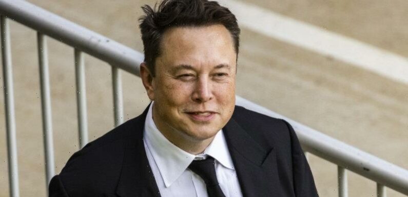 Elon Musk deluged with demands from banned Twitter account holders