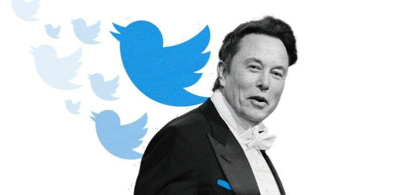 Elon Musk owns Twitter. Now what?