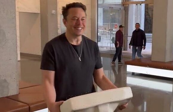Elon Musk plans to carry out mass Twitter layoffs as soon as TODAY