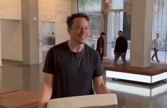 Elon Musk sacks top staff as he takes over Twitter, claiming "the bird is freed"