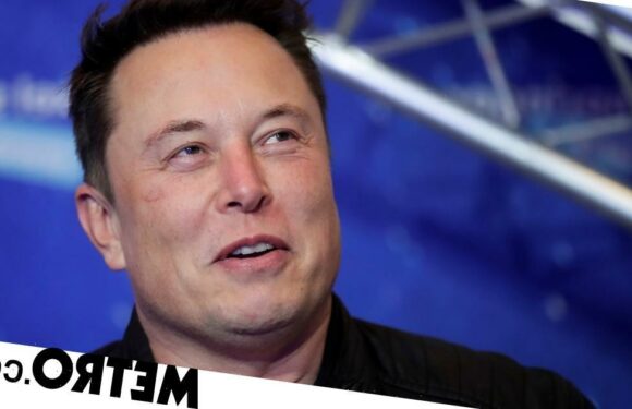 Elon Musk withdraws threat to pull Starlink from Ukraine despite losing money