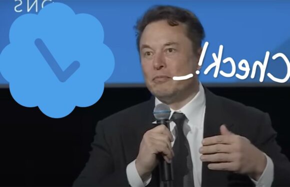 Elon Musk's Twitter Wants Users To Pay $20 A Month For Verification! Would You Do That??
