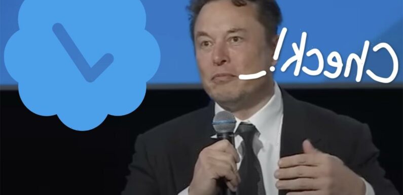 Elon Musk's Twitter Wants Users To Pay $20 A Month For Verification! Would You Do That??