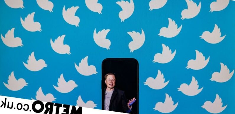 Elon Musk's $44 billion Twitter deal is back on – how will it work?
