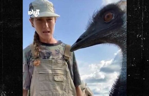 Emmanuel the Emu Sick After Wild Geese, Bird Flu Strike Florida Farm