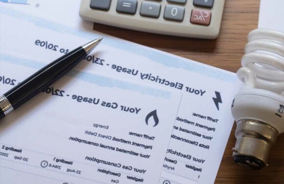 Energy bill warning as hard-up customers charged extra for poor credit scores | The Sun