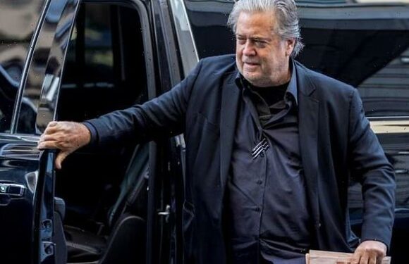 Ex-Trump aide Steve Bannon faces possible prison for contempt